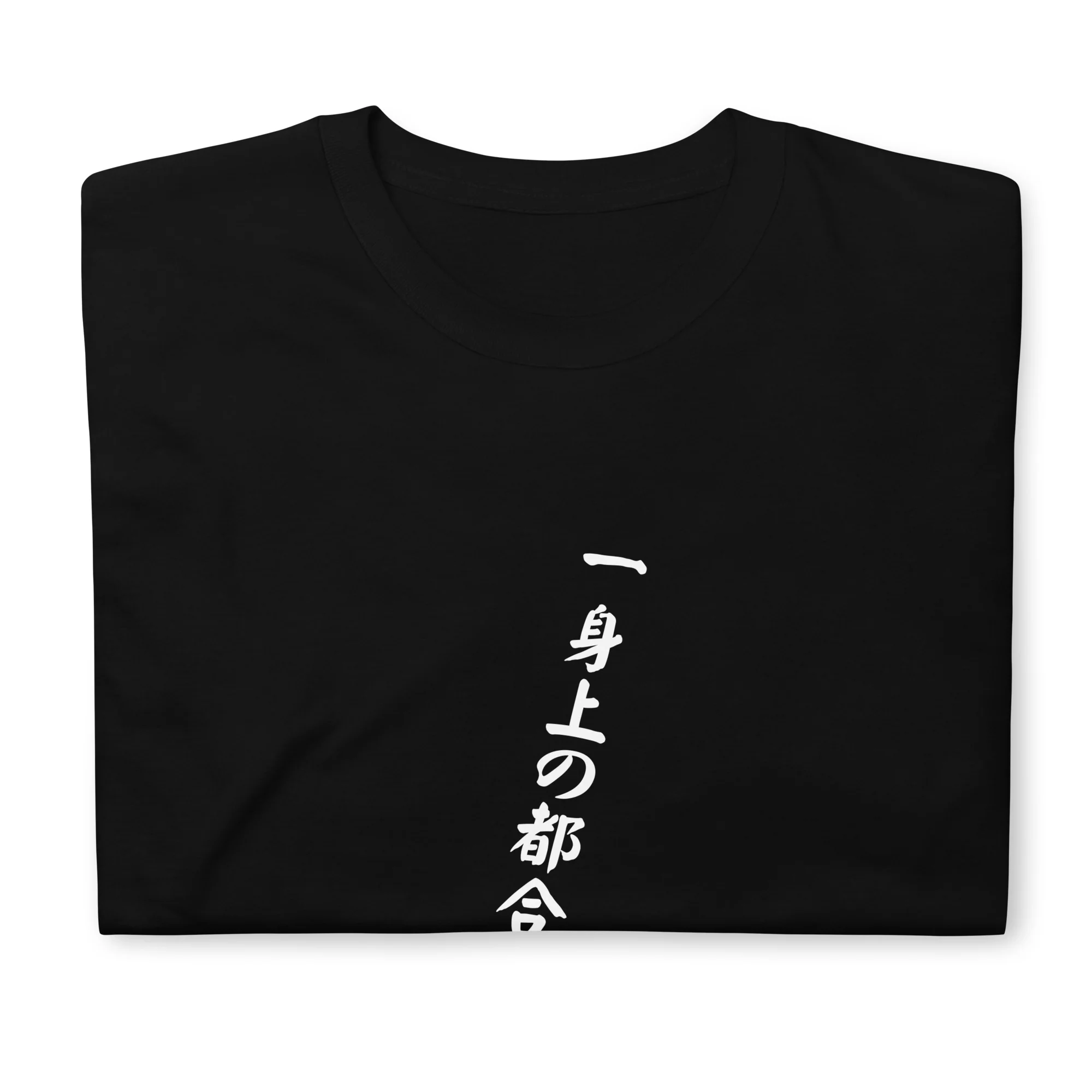 For Personal Reasons Japanese Short-Sleeve Unisex T-Shirt - Image 6