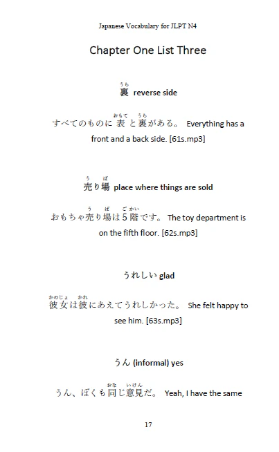 JLPT N4 BUNDLE Japanese Kanji, Grammar, & Vocabulary + More [DIGITAL DOWNLOAD] - Image 8