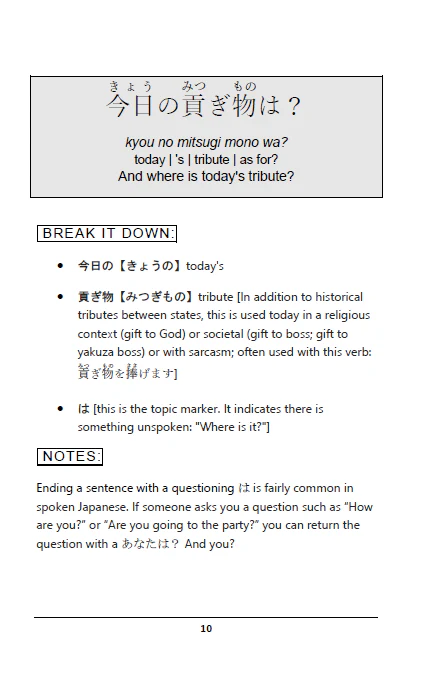 Learn Japanese through Memes [Paperback] - Image 5
