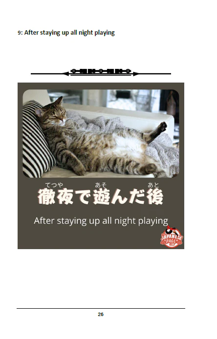 Learn Japanese through Memes Volume 2 [Paperback] - Image 4
